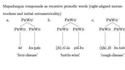 The diachronic interaction of prosodic structure and morphology featured image